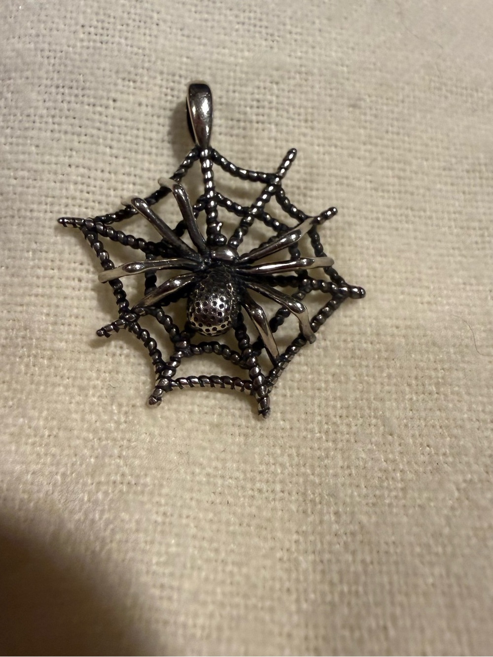 Silver 925 Spider in Web charm 3d Arrok Jewlery